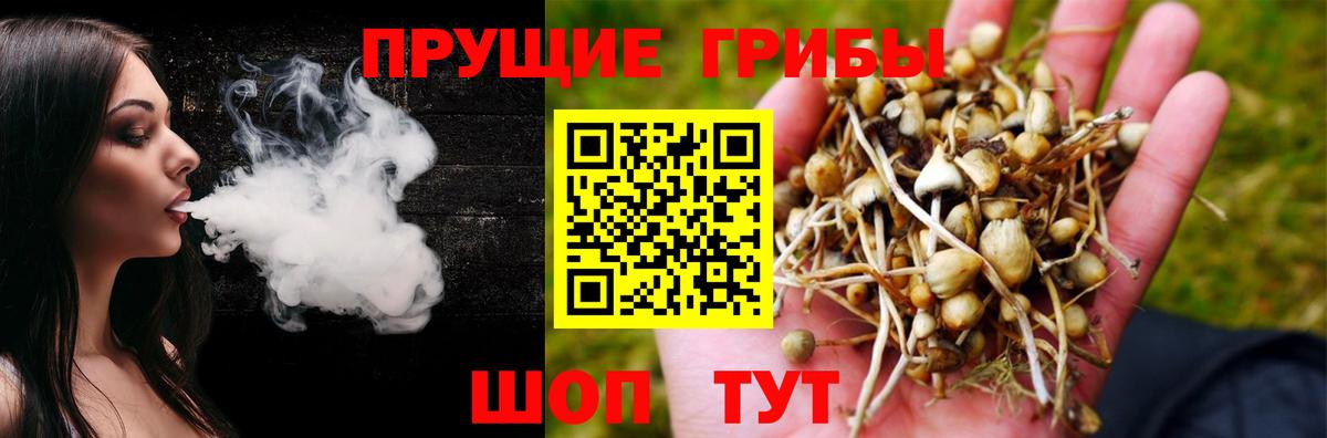 Псилоцибиновые грибы прущие грибы Новокубанск